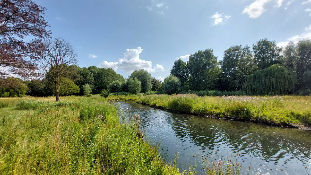 Fleuthwiesen, Höhe Amrey