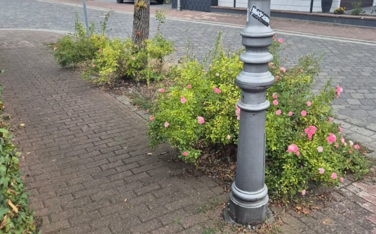 Beetpflanzaktion bei der Metzgerei Olyschläger