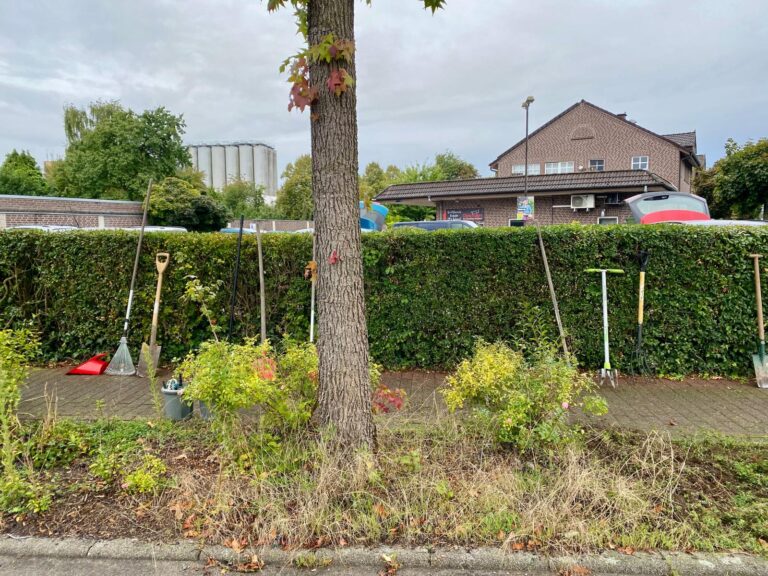 Unsere Beetpflanzaktion – Gemeinsam für mehr GRÜN 🌻