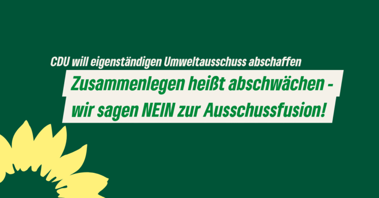 CDU will eigenständigen Umweltausschuss abschaffen